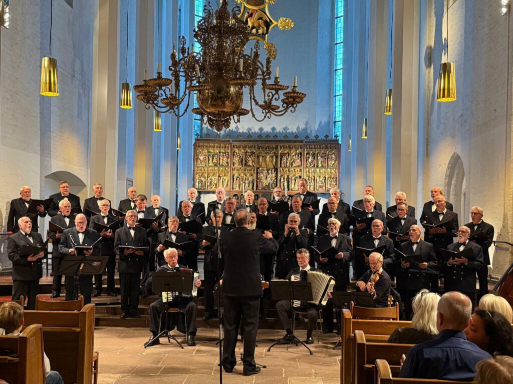 Benefizkonzert für die Orgelsanierung der Kieler St. Nikolai-Kirche 19.10.2025